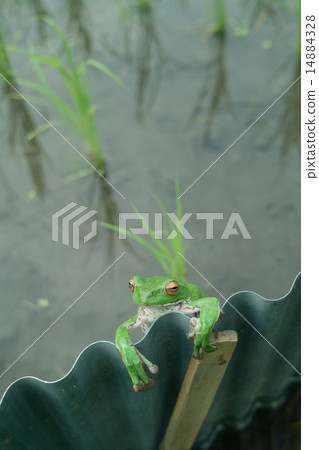 Moriogael從風暴波飛行 Moriogael從風暴波飛行 14884328