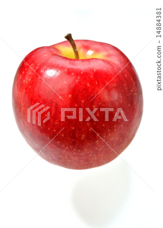 Apple（Jonah Gold）。 14884381