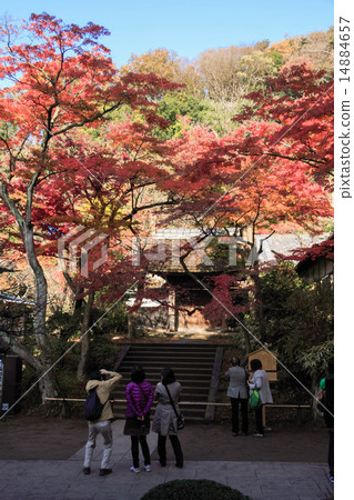 Jokoenji秋葉 Jokoenji秋葉 14884657