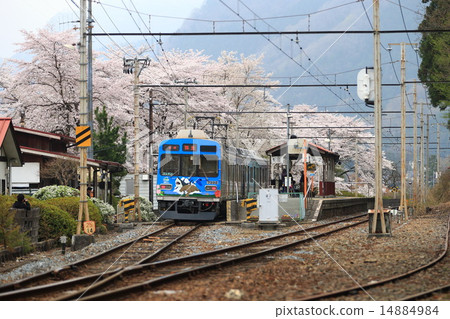 春天秩父鐵路 春天秩父鐵路 14884984
