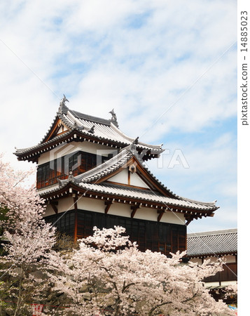 Koriyama春天城堡廢墟 14885023