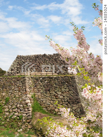 Koriyama Castle Ruins Tensor Stand 14885024