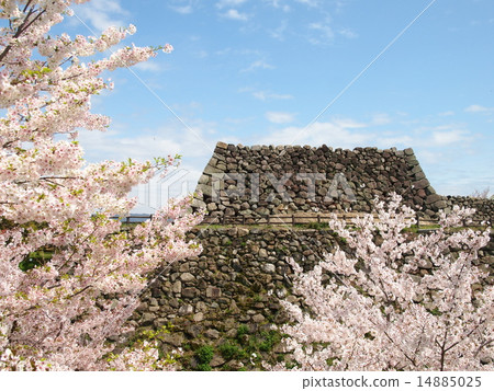 Koriyama Castle Ruins Tensor Stand 14885025