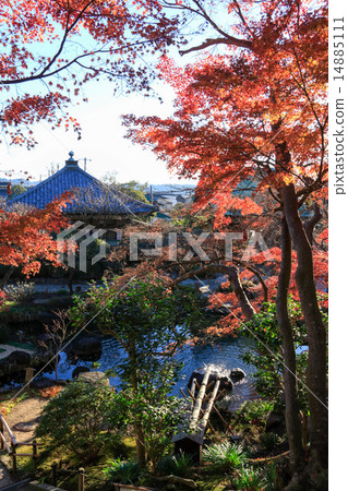 Autumn leaves of Hase-dera Temple Autumn leaves of Hase-dera Temple 14885111