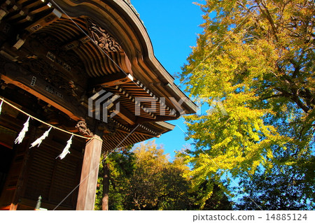 秋天的精神神殿 14885124