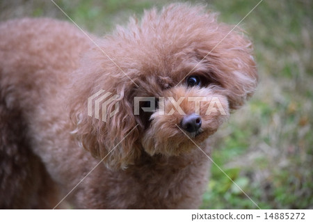 Hatena的？ 14885272