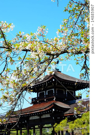 Taiheikaku and cherry blossoms at Heian Shrine, Kyoto 14885907
