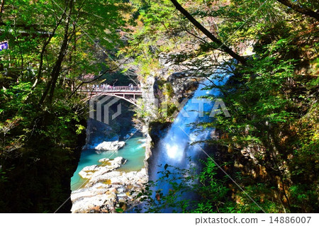 Ryuyo Gorge 14886007