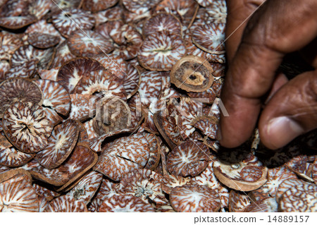 Betel seed made of cutted khat 14889157