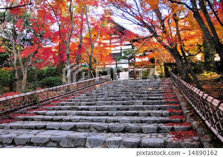 Ryoan Temple in autumn 14890162