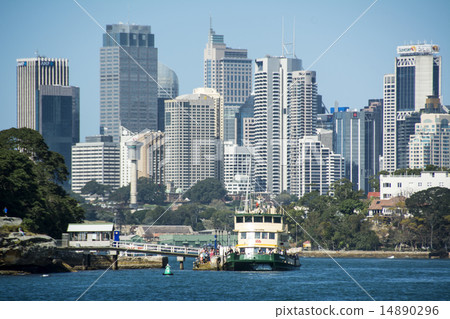 Sydney City from the North Shore 14890296