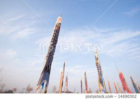 Carp streamer Carp streamer 14890302