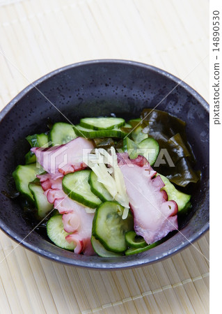 Octopus vine Octopus vine 14890530