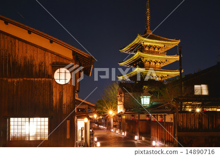Kyoto Flower Light Road Higashiyama 14890716