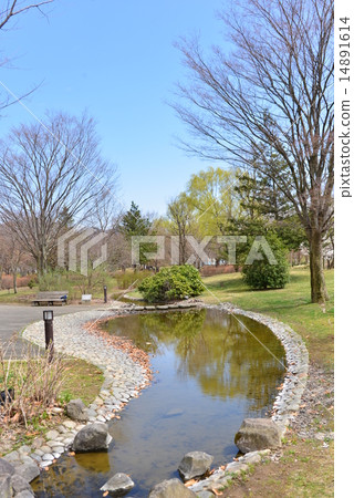 Waterside of the park Waterside of the park 14891614