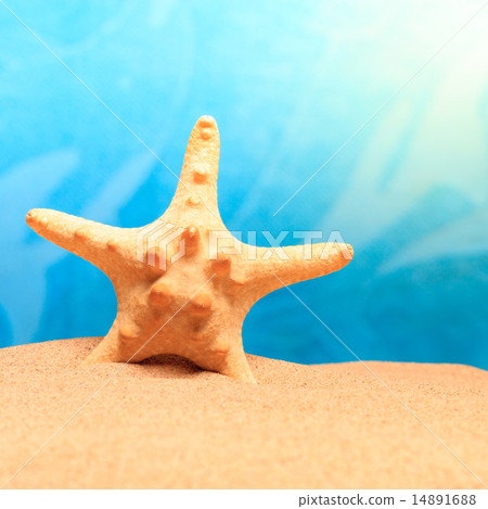 Starfish on the clean golden sand Starfish on the clean golden sand 14891688