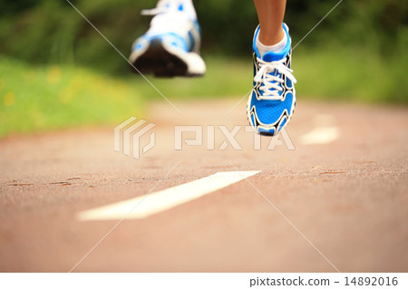 young fitness woman legs running at forest trail young fitness woman legs running at forest trail 14892016
