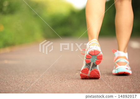 young fitness woman legs running at forest trail young fitness woman legs running at forest trail 14892017