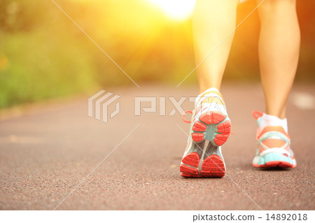 young fitness woman legs running at forest trail 14892018