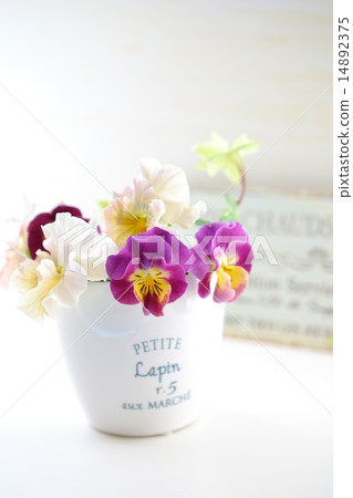 裝飾褶邊三色紫羅蘭 14892375