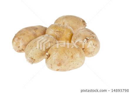Fresh potatoes on white background 14893798