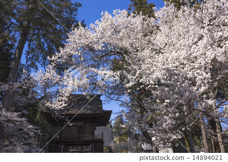 甲州市Shurin寺 甲州市Shurin寺 14894021