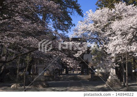 甲州市Shurin寺 14894022