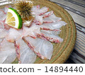 Snapper sashimi 14894440