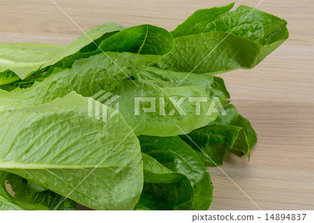 Romano salad Romano salad 14894837