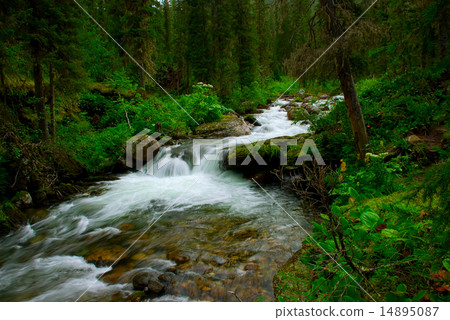 Small falls over mossy rocks 14895087
