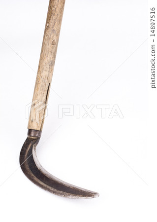 White-backed grass-scythe 14897516