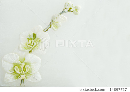 abstract spring background with flowers 14897737