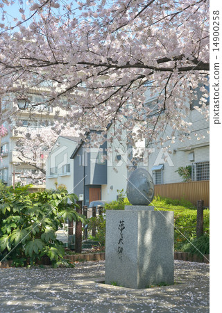 Dr. Koshiba Masatoshi 14900258