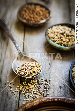 Sprouted red and white quinoa Sprouted red and white quinoa 14902074