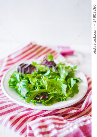 Healthy salad Healthy salad 14902260