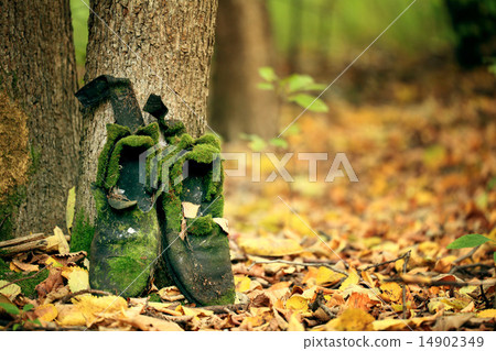 Old vintage boots 14902349