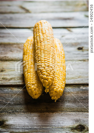 圖庫照片: sweet corn on rustic background