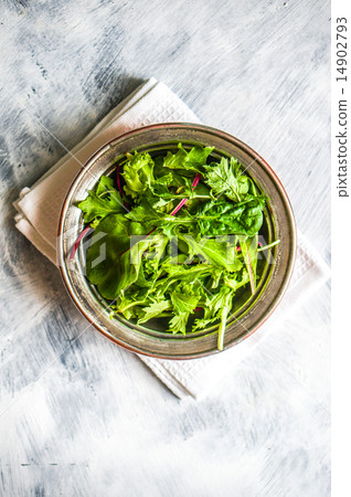 Green salad on rustic background 14902793