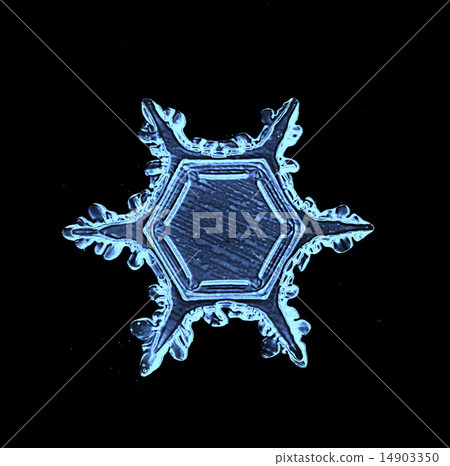 natural crystal snowflake macro 14903350