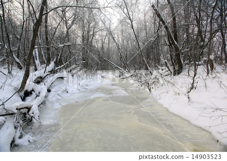 cold winter forest landscape snow 14903523