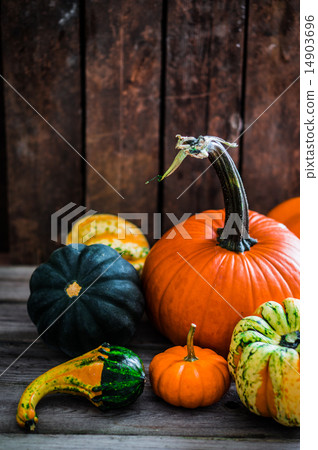 Colorful pumpkins on wooden background 14903696