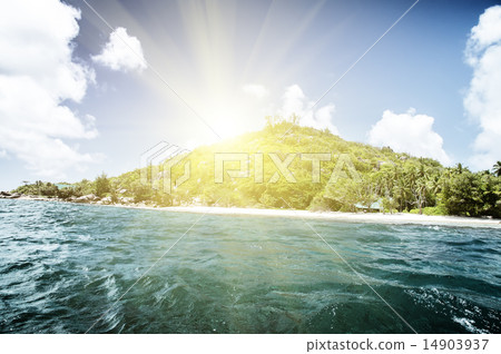 White coral sand on tropical beach. La Digue 14903937