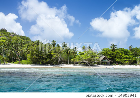 White coral sand on tropical beach. Mahe island White coral sand on tropical beach. Mahe island 14903941