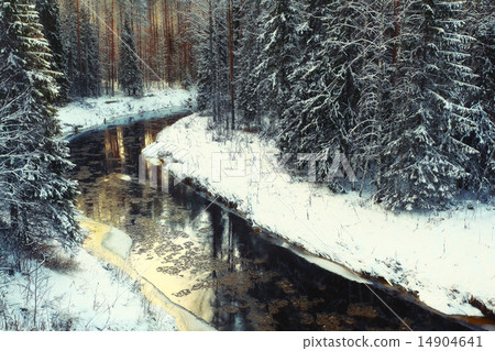 cold winter forest landscape snow cold winter forest landscape snow 14904641