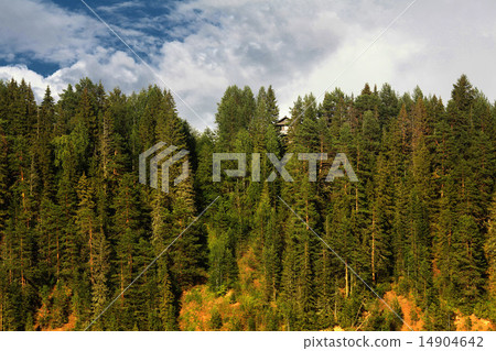 landscape forest nature landscape forest nature 14904642