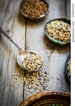 Sprouted red and white quinoa 14904684