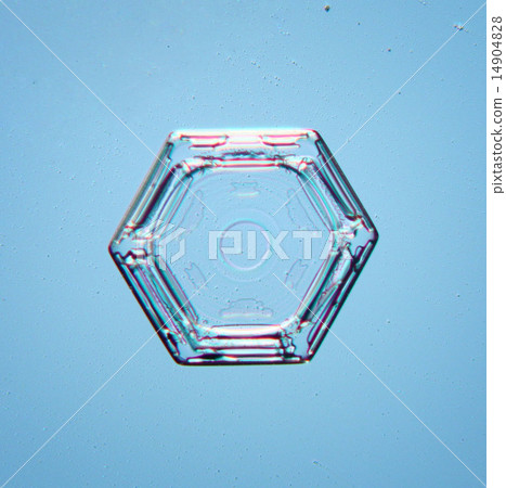 natural snowflake macro 14904828
