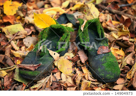 Old vintage boots 14904973