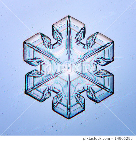 natural snowflake macro naturals 14905293