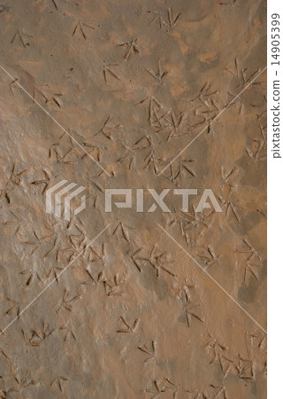 texture of dry land, drought texture of dry land, drought 14905399